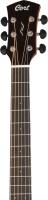 6 струнная гитара Cort Core-GA Blackwood